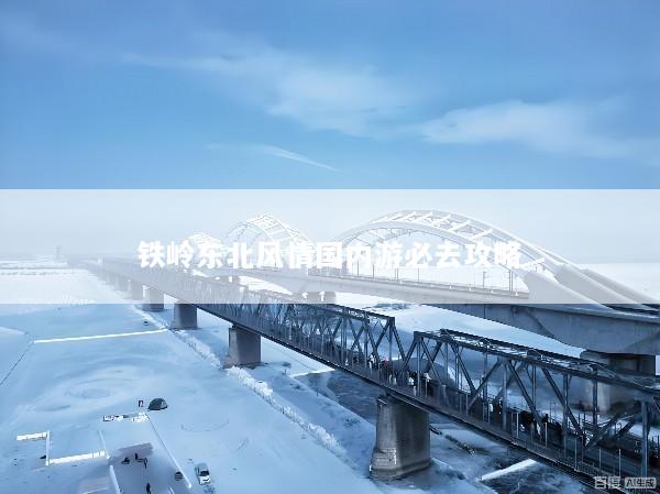 铁岭东北风情国内游必去攻略