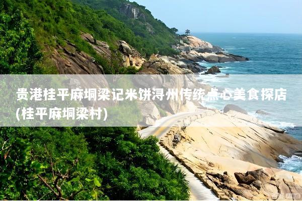 贵港桂平麻垌梁记米饼浔州传统点心美食探店(桂平麻垌梁村)