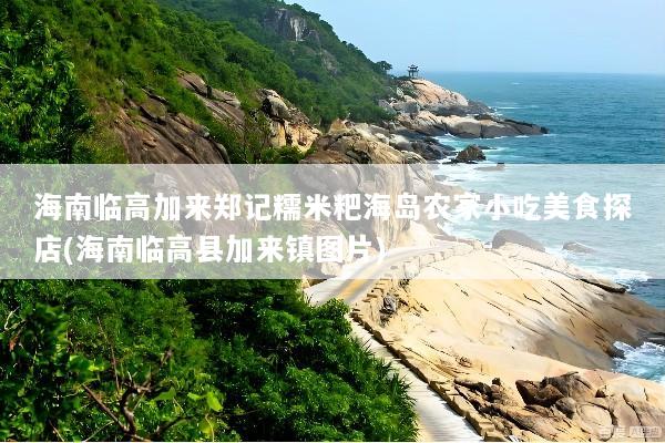 海南临高加来郑记糯米粑海岛农家小吃美食探店(海南临高县加来镇图片)