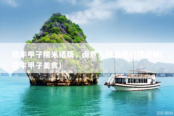 陆丰甲子糯米猪肠，卤煮入味渔港老牌卤味(陆丰甲子美食)