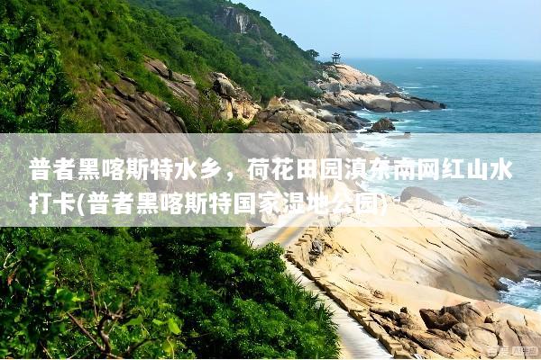 普者黑喀斯特水乡，荷花田园滇东南网红山水打卡(普者黑喀斯特国家湿地公园)