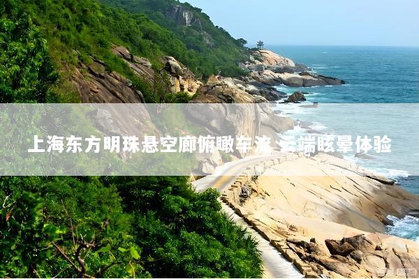 上海东方明珠悬空廊俯瞰车流 云端眩晕体验