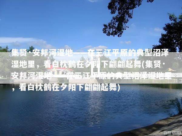集贤·安邦河湿地——在三江平原的典型沼泽湿地里，看白枕鹤在夕阳下翩翩起舞(集贤·安邦河湿地——在三江平原的典型沼泽湿地里，看白枕鹤在夕阳下翩翩起舞)