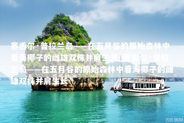 塞舌尔·普拉兰岛——在五月谷的原始森林中看海椰子的雌雄双株并肩生长_塞舌尔·普拉兰岛——在五月谷的原始森林中看海椰子的雌雄双株并肩生长