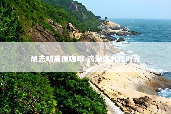 胡志明高原咖啡 滴漏炼乳慢时光