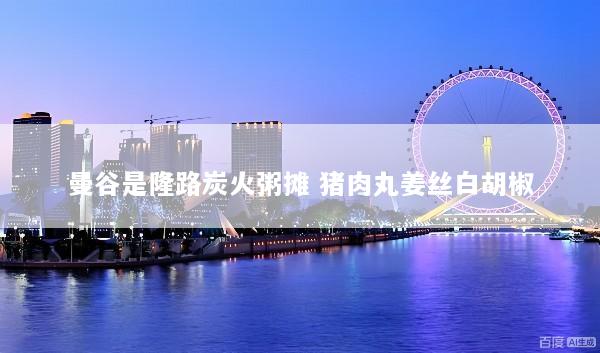 曼谷是隆路炭火粥摊 猪肉丸姜丝白胡椒