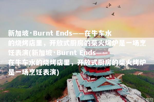新加坡·Burnt Ends——在牛车水的烧烤店里，开放式厨房的柴火烤炉是一场烹饪表演(新加坡·Burnt Ends——在牛车水的烧烤店里，开放式厨房的柴火烤炉是一场烹饪表演)