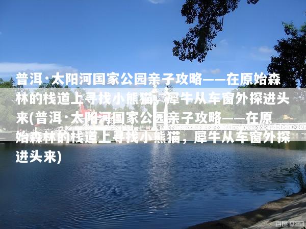 普洱·太阳河国家公园亲子攻略——在原始森林的栈道上寻找小熊猫，犀牛从车窗外探进头来(普洱·太阳河国家公园亲子攻略——在原始森林的栈道上寻找小熊猫，犀牛从车窗外探进头来)