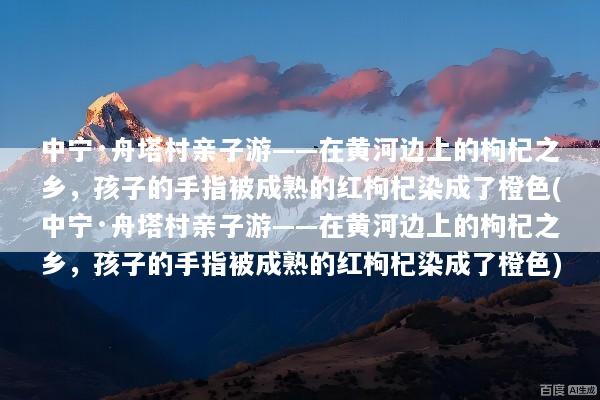 中宁·舟塔村亲子游——在黄河边上的枸杞之乡，孩子的手指被成熟的红枸杞染成了橙色(中宁·舟塔村亲子游——在黄河边上的枸杞之乡，孩子的手指被成熟的红枸杞染成了橙色)