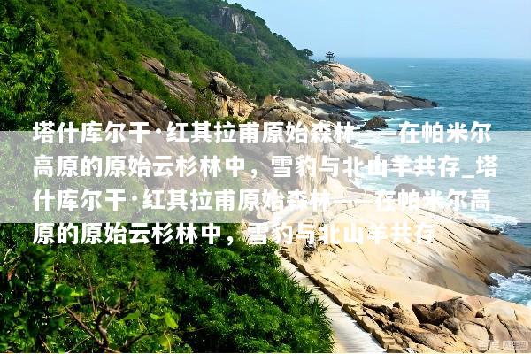 塔什库尔干·红其拉甫原始森林——在帕米尔高原的原始云杉林中，雪豹与北山羊共存_塔什库尔干·红其拉甫原始森林——在帕米尔高原的原始云杉林中，雪豹与北山羊共存