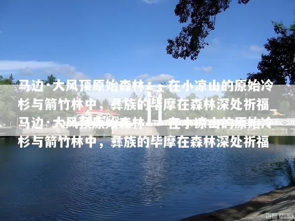 马边·大风顶原始森林——在小凉山的原始冷杉与箭竹林中，彝族的毕摩在森林深处祈福_马边·大风顶原始森林——在小凉山的原始冷杉与箭竹林中，彝族的毕摩在森林深处祈福