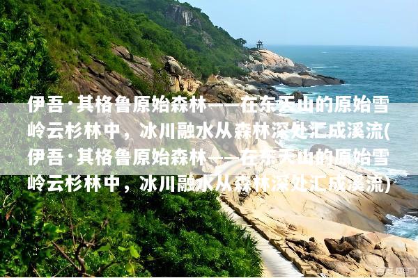 伊吾·其格鲁原始森林——在东天山的原始雪岭云杉林中，冰川融水从森林深处汇成溪流(伊吾·其格鲁原始森林——在东天山的原始雪岭云杉林中，冰川融水从森林深处汇成溪流)
