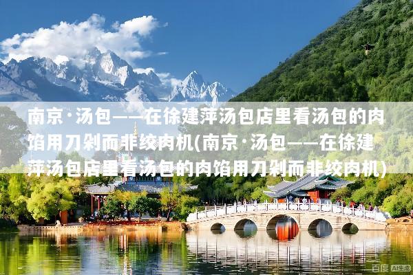 南京·汤包——在徐建萍汤包店里看汤包的肉馅用刀剁而非绞肉机(南京·汤包——在徐建萍汤包店里看汤包的肉馅用刀剁而非绞肉机)