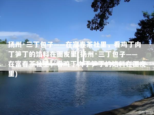 扬州·三丁包子——在富春茶社里，看鸡丁肉丁笋丁的馅料在面皮里(扬州·三丁包子——在富春茶社里，看鸡丁肉丁笋丁的馅料在面皮里)