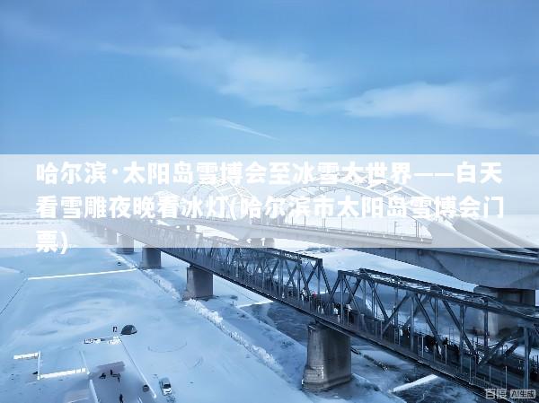 哈尔滨·太阳岛雪博会至冰雪大世界——白天看雪雕夜晚看冰灯(哈尔滨市太阳岛雪博会门票)