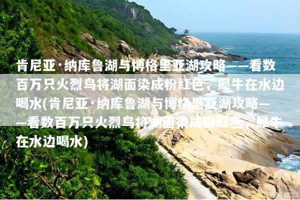 肯尼亚·纳库鲁湖与博格里亚湖攻略——看数百万只火烈鸟将湖面染成粉红色，犀牛在水边喝水(肯尼亚·纳库鲁湖与博格里亚湖攻略——看数百万只火烈鸟将湖面染成粉红色，犀牛在水边喝水)