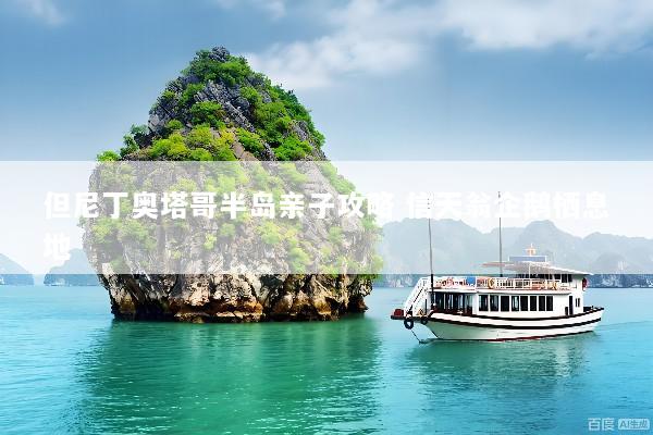 但尼丁奥塔哥半岛亲子攻略 信天翁企鹅栖息地